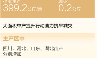 2025年全国夏季粮食产量有多少？